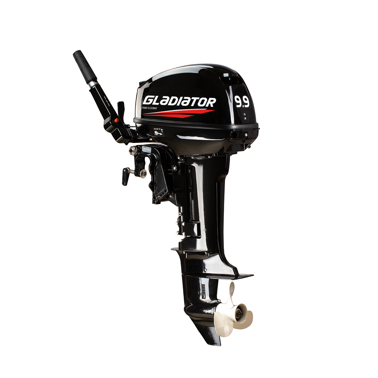 ЛОДОЧНЫЙ МОТОР GLADIATOR G9.9FHS в Абакане