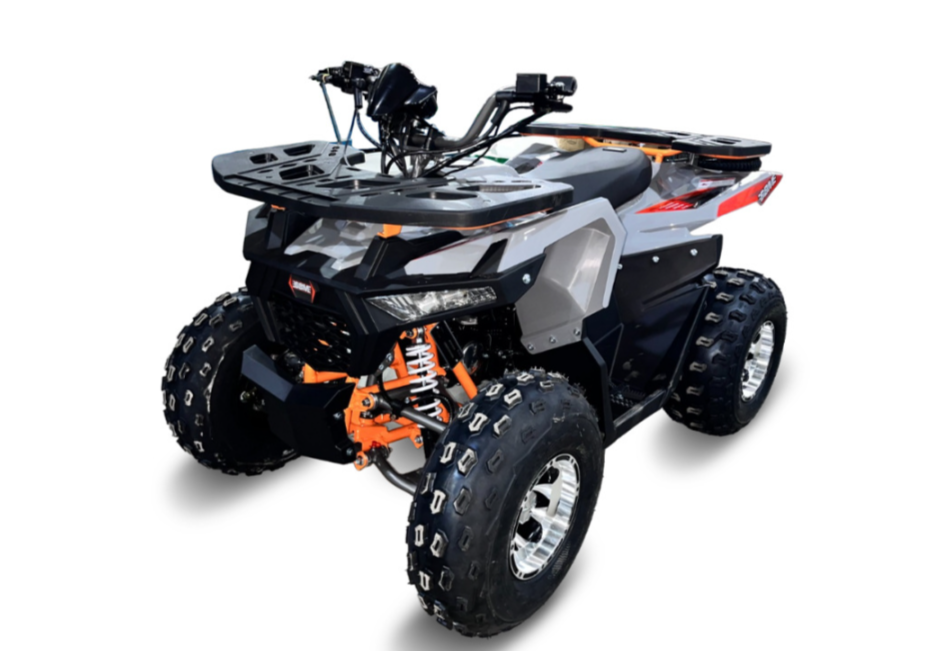 Квадроцикл GBM DAXTER 220 NEW PREMIUM в Абакане