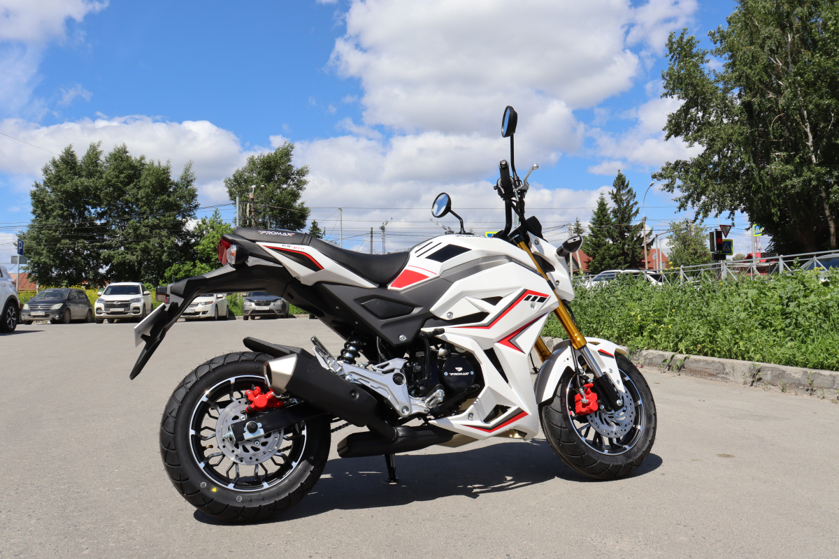 Мотоцикл PROMAX STRYKER 200(49) 2.0 в Абакане
