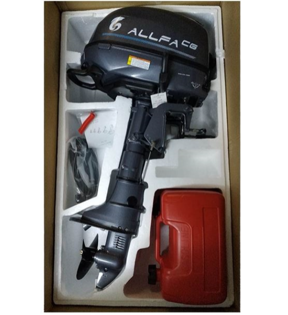 Лодочный мотор ALLFA CG F6 в Абакане