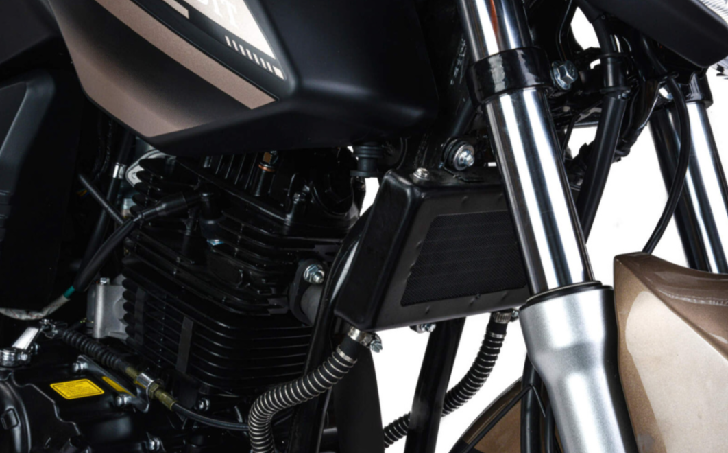 Мотоцикл MOTOLAND (МОТОЛЕНД) 300 BANDIT в Абакане