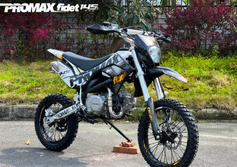 Мотоцикл (питбайк) PROMAX FIDET (ФАЙДЕТ) 145E PRO 17/14 в Абакане