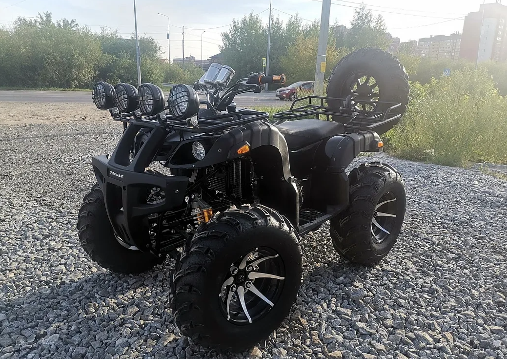 Квадроцикл PROMAX LEO 300 Max (кардан) в Абакане