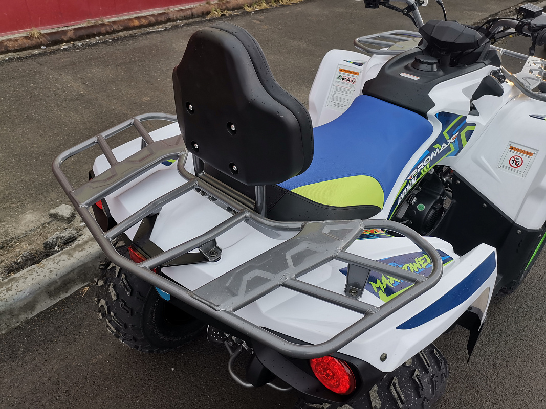 Квадроцикл PROMAX RENEGADE 280 LUX (2025) в Абакане