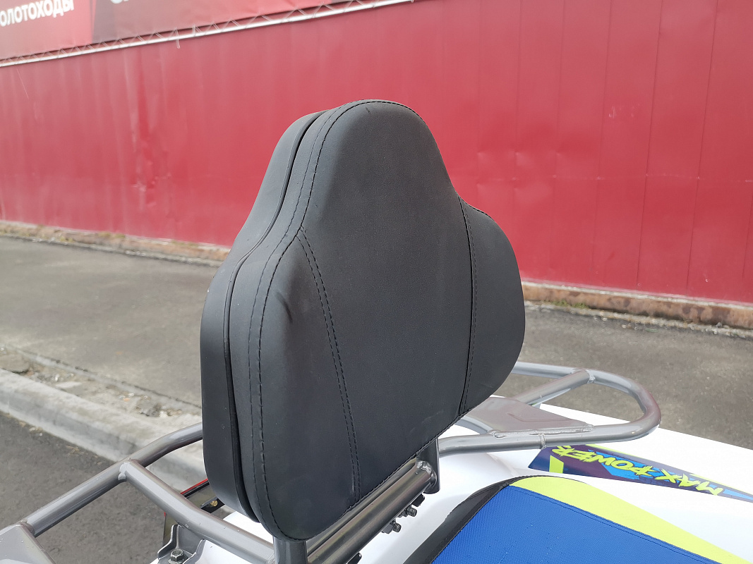 Квадроцикл PROMAX RENEGADE 280 LUX (2025) в Абакане