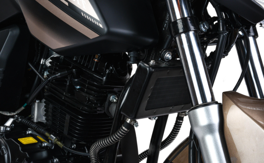 Мотоцикл MOTOLAND (МОТОЛЕНД) 300 BANDIT в Абакане