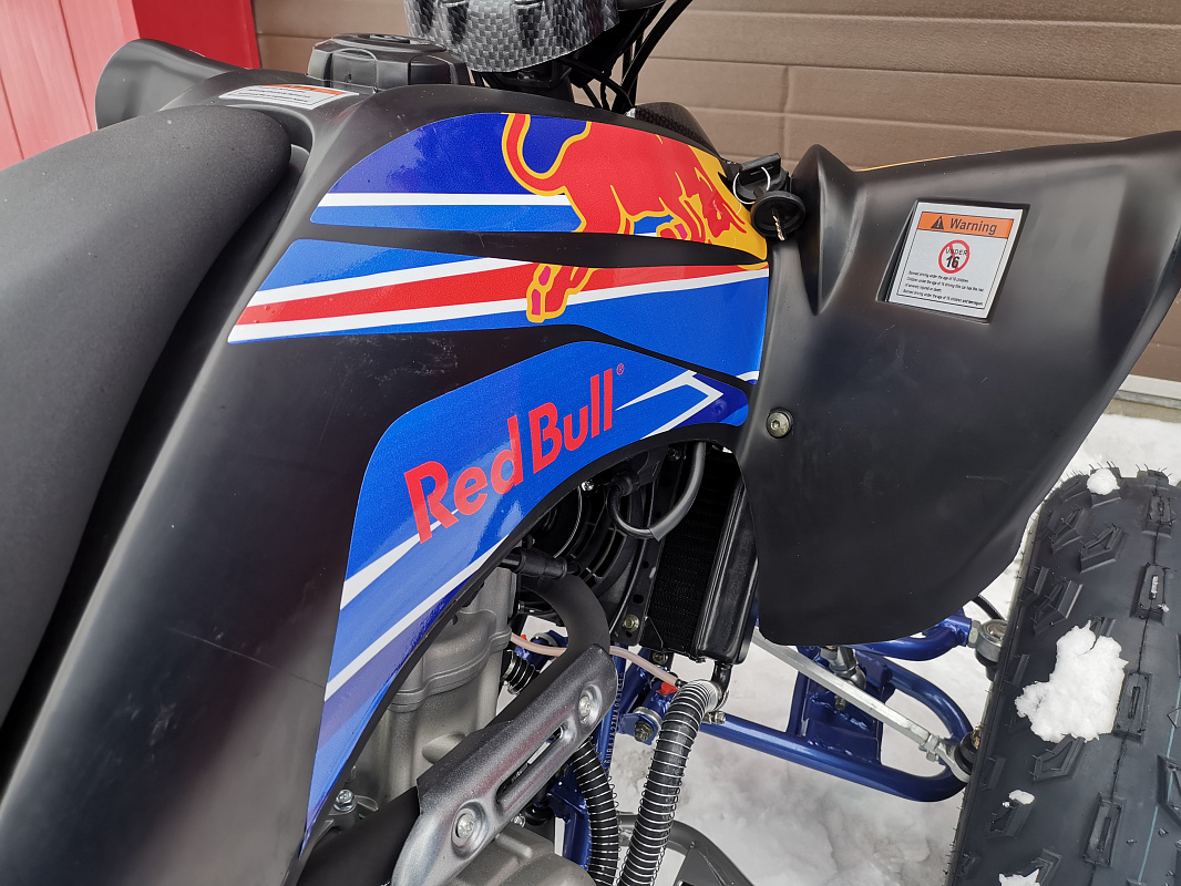 Квадроцикл PROMAX RAPTOR 300 NEW RedBull в Абакане