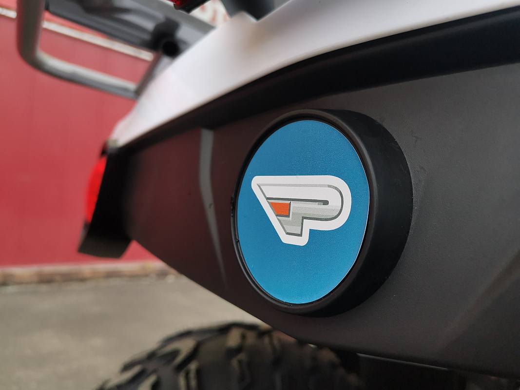 Квадроцикл PROMAX RENEGADE 280 LUX (2025) в Абакане