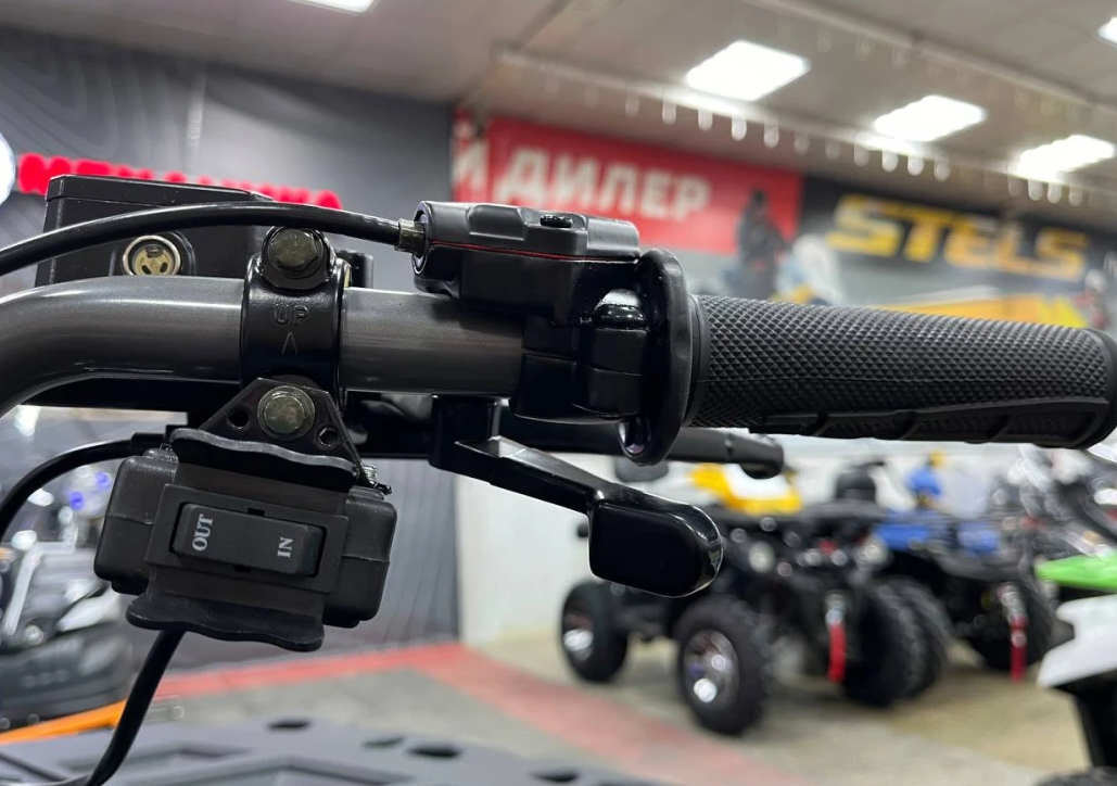 Квадроцикл PROMAX RENEGADE 300 LONG WINCH PRO (2025) в Абакане