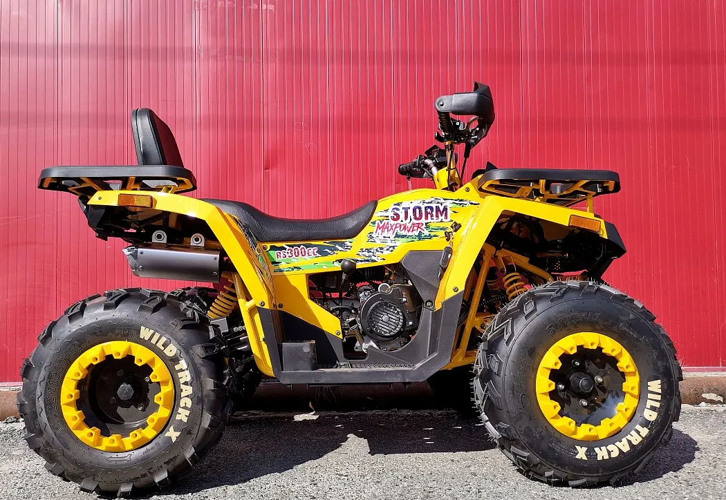 Квадроцикл PROMAX STORM 280 LUX в Абакане