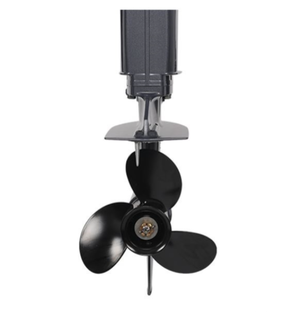 Лодочный мотор ALLFA CG Т40FW S в Абакане