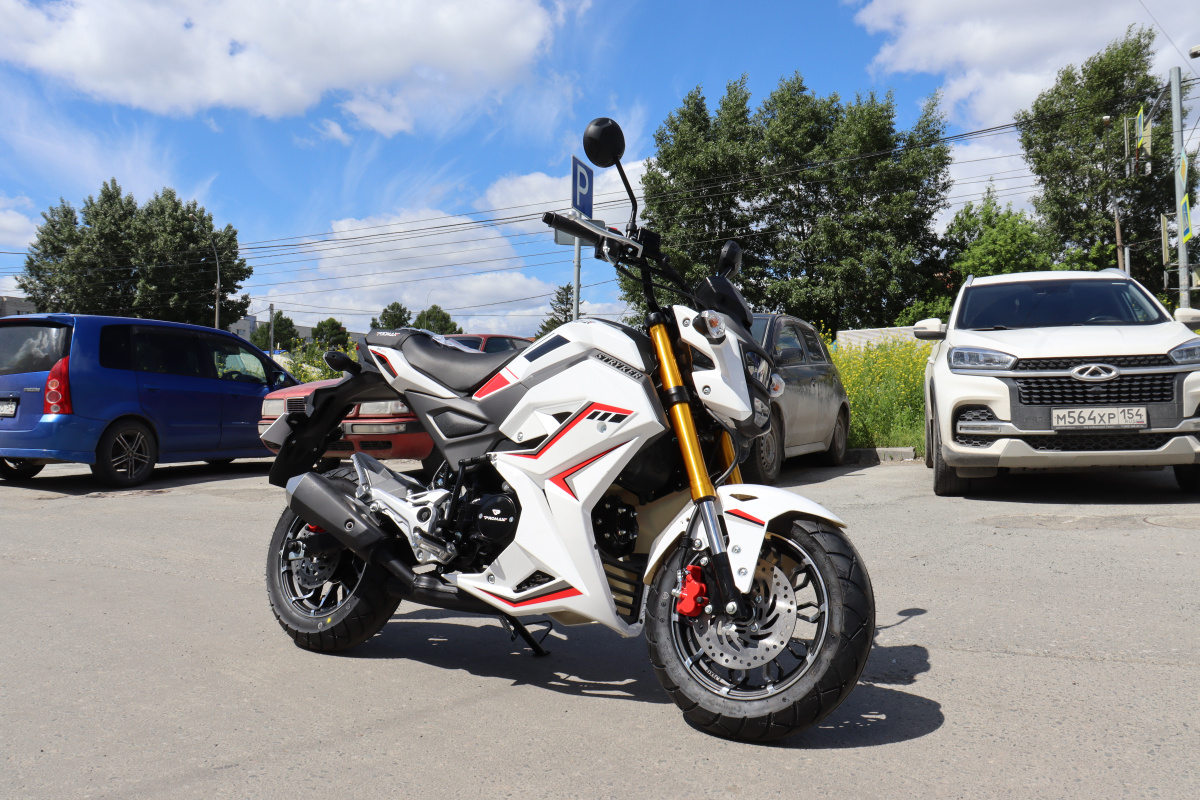 Мотоцикл PROMAX STRYKER 200(49) 2.0 в Абакане