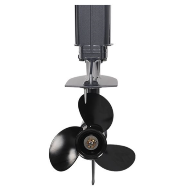 Лодочный мотор ALLFA CG Т40FWT S в Абакане