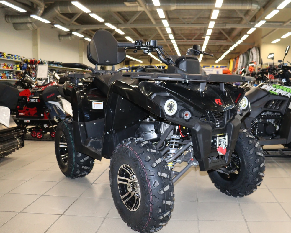 Квадроцикл PROMAX RENEGADE 300 LONG WINCH PRO (2025) в Абакане