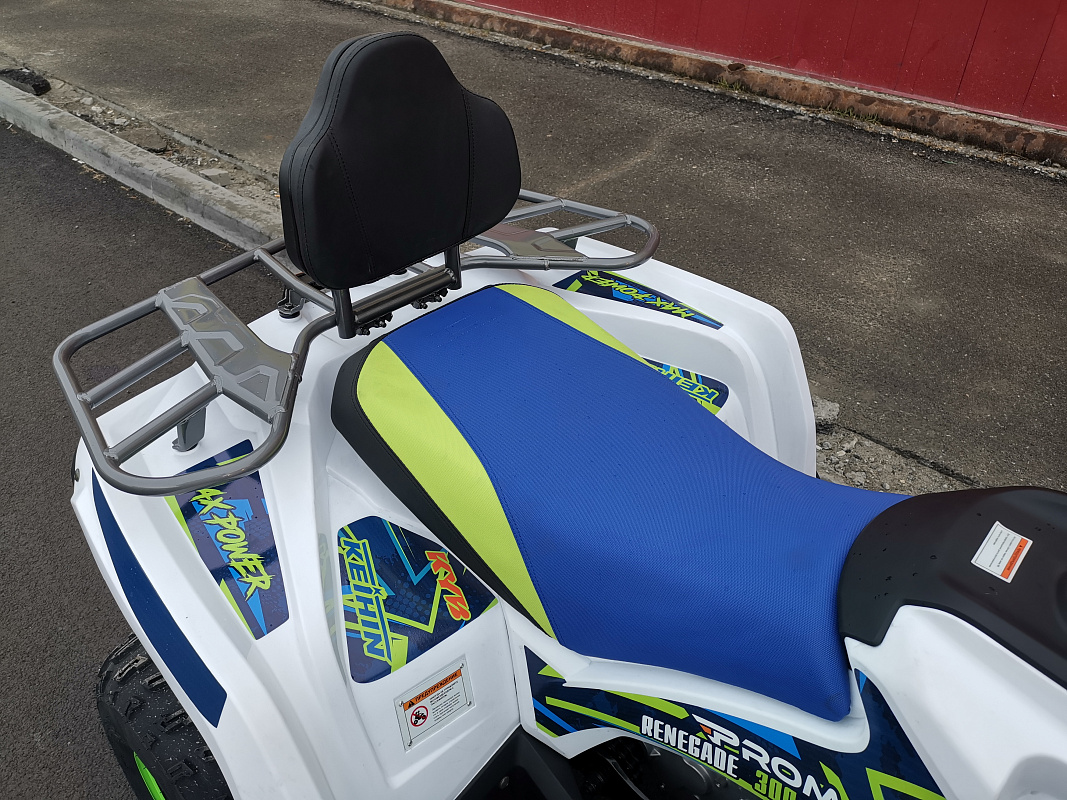 Квадроцикл PROMAX RENEGADE 280 LUX (2025) в Абакане
