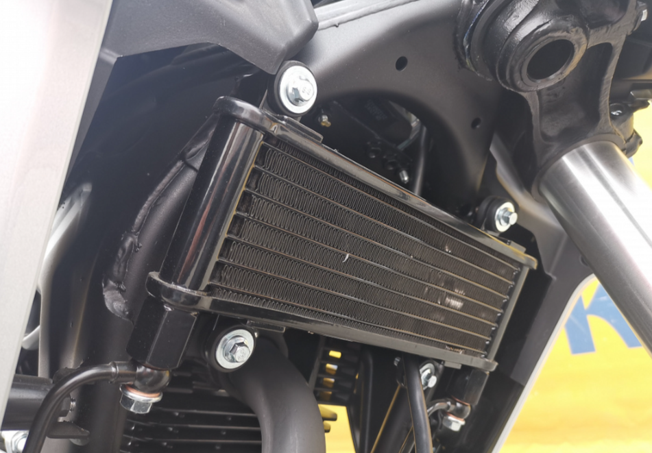 Мотоцикл MOTOLAND (МОТОЛЕНД) 250 CB250 (172FMM-5/PR250) (2022 г.) в Абакане