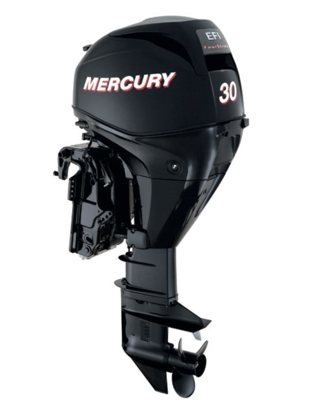 ЛОДОЧНЫЙ МОТОР MERCURY  F 30 ELH GA EFI в Абакане