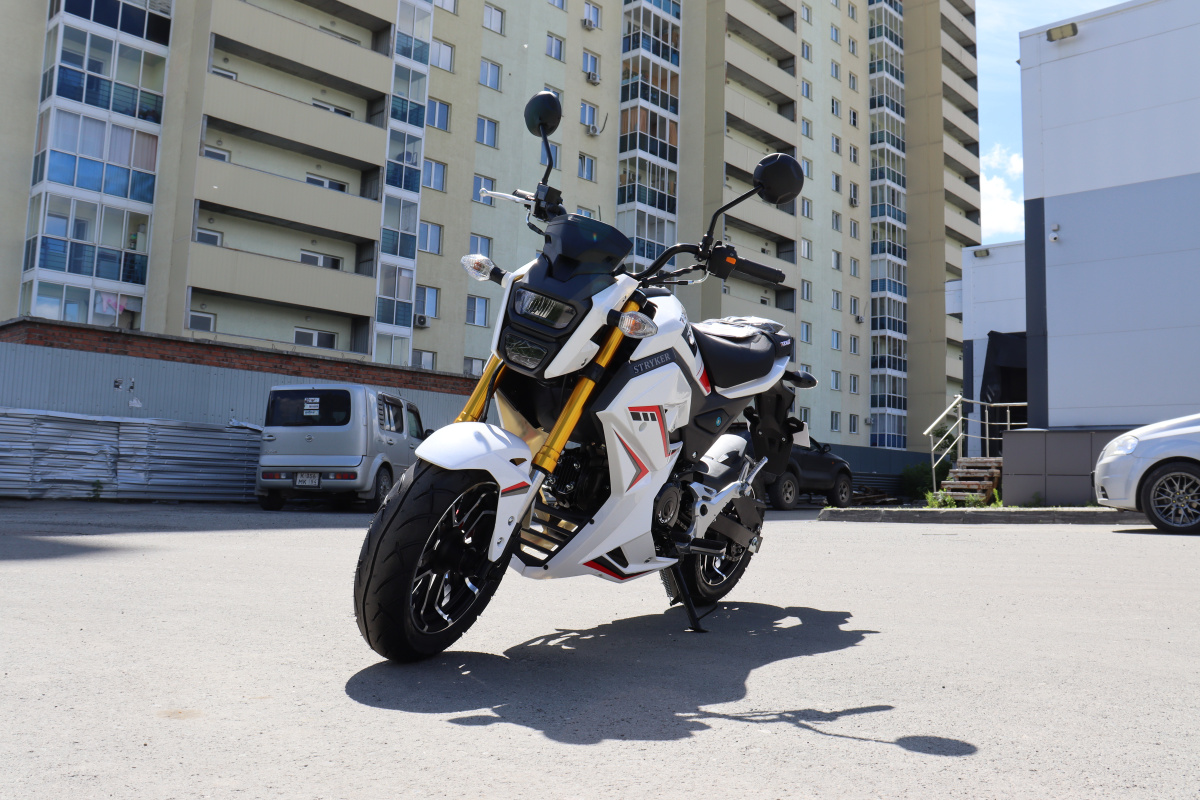 Мотоцикл PROMAX STRYKER 200(49) 2.0 в Абакане