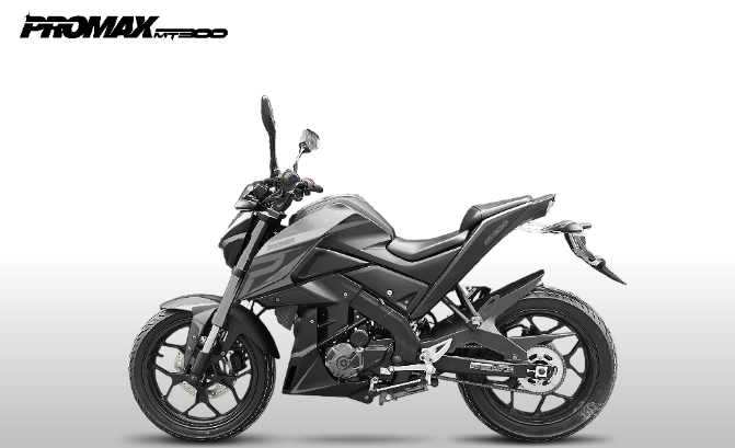 Мотоцикл PROMAX MT300 в Абакане