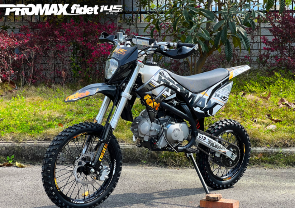 Мотоцикл (питбайк) PROMAX FIDET (ФАЙДЕТ) 145E PRO 17/14 в Абакане