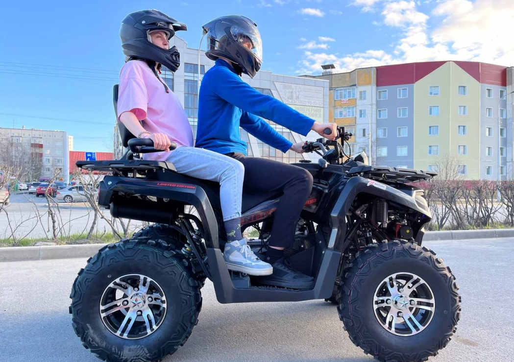 Квадроцикл PROMAX RENEGADE 300 LONG WINCH PRO (2025) в Абакане