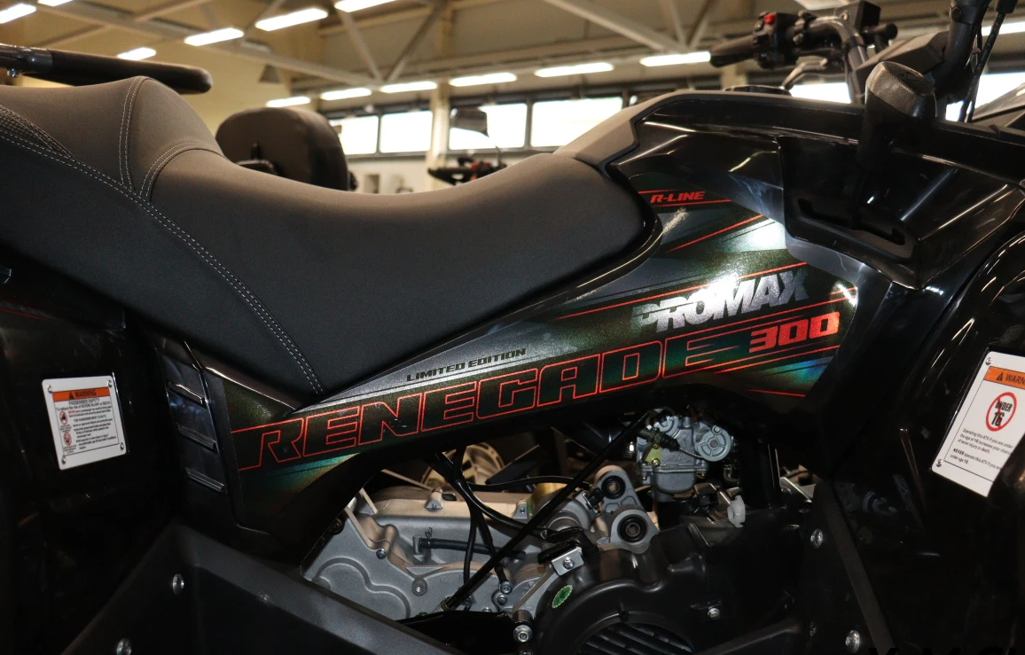 Квадроцикл PROMAX RENEGADE 300 LONG WINCH PRO (2025) в Абакане