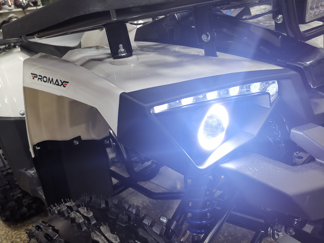 Квадроцикл PROMAX WILD 175 LUX в Абакане