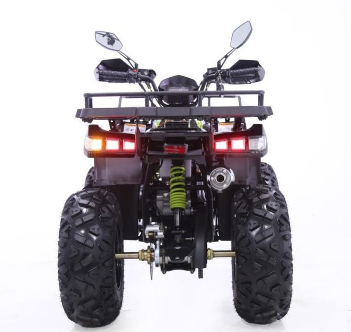 Квадроцикл YACOTA WARRIOR 200 PRO в Абакане