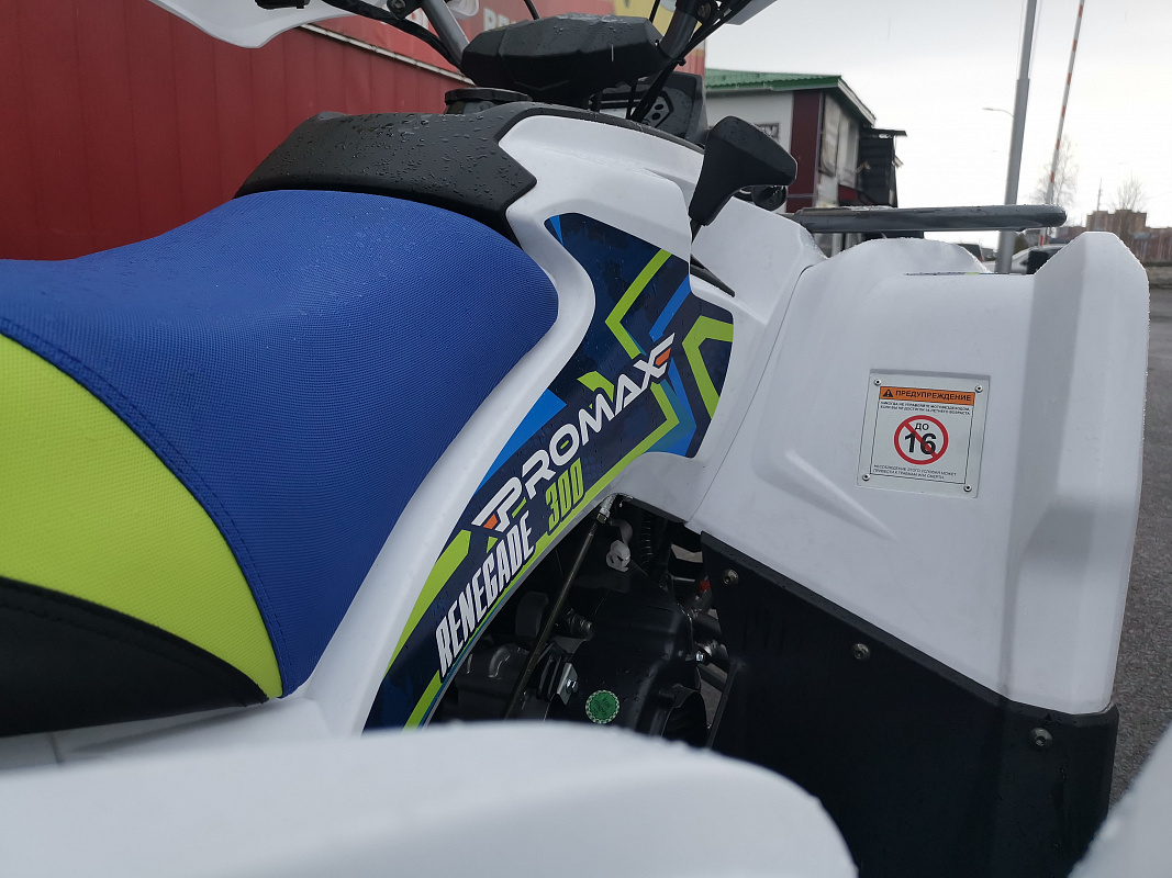 Квадроцикл PROMAX RENEGADE 280 LUX (2025) в Абакане