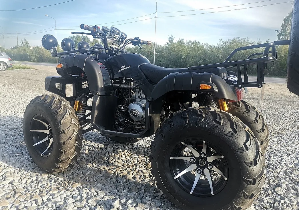 Квадроцикл PROMAX LEO 300 Max (кардан) в Абакане