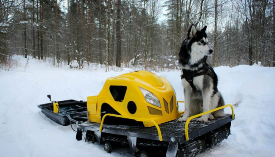 Мотобуксировщик LEBEDEV MOTORS ВОЛКОДАВ POWER V13 в Абакане