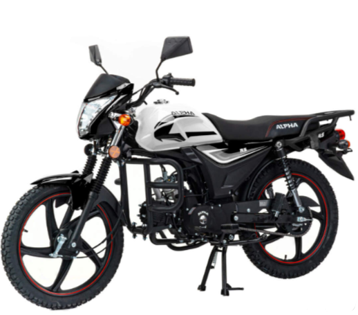Мопед MOTOLAND (МОТОЛЕНД) Альфа RS 11 (LM48-B) в Абакане
