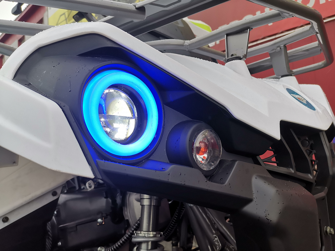 Квадроцикл PROMAX RENEGADE 280 LUX (2025) в Абакане