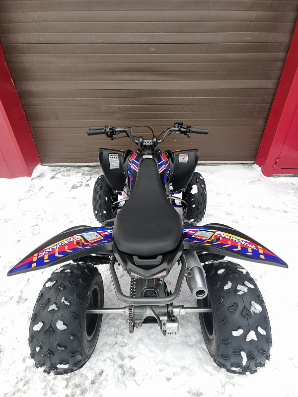 Квадроцикл PROMAX RAPTOR 300 NEW RedBull в Абакане