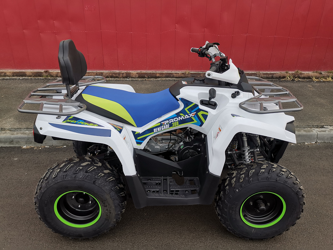 Квадроцикл PROMAX RENEGADE 280 LUX (2025) в Абакане