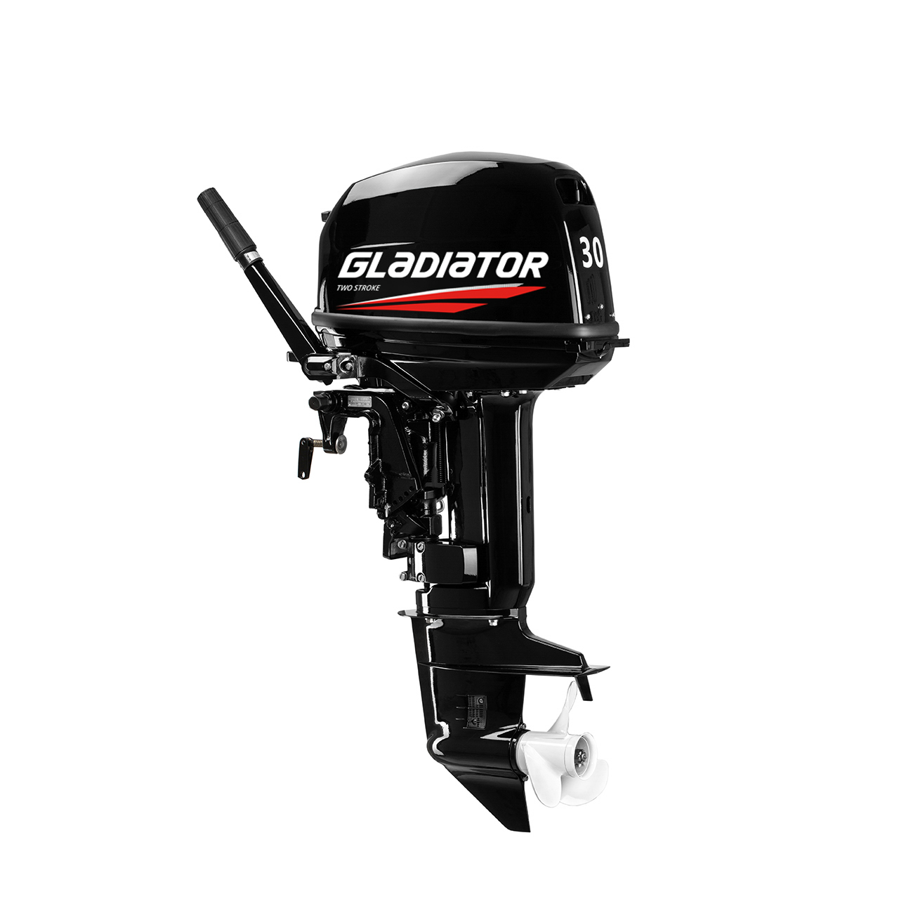 ЛОДОЧНЫЙ МОТОР GLADIATOR G30FHS в Абакане