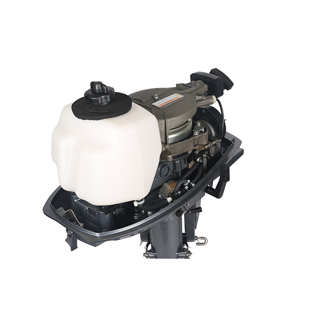 ЛОДОЧНЫЙ МОТОР ALLFA CG T5 в Абакане