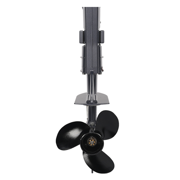 ЛОДОЧНЫЙ МОТОР ALLFA CG T9,8 Limit в Абакане