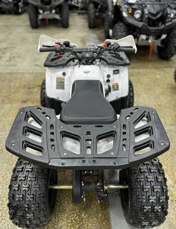 Квадроцикл PROMAX WILD 2.0 190 в Абакане