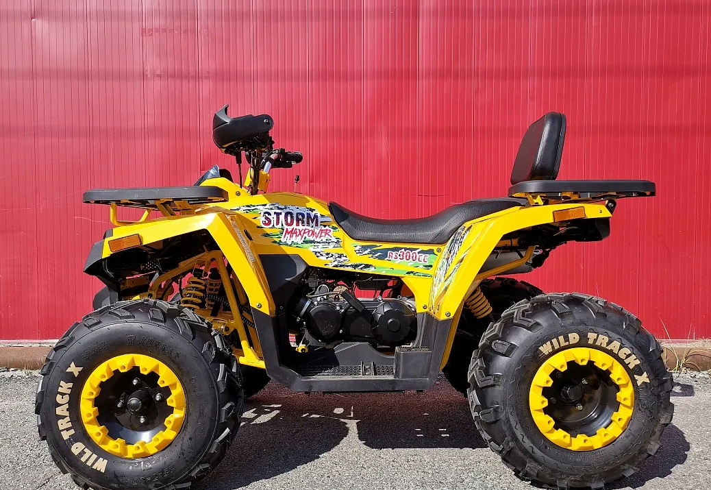 Квадроцикл PROMAX STORM 280 LUX в Абакане