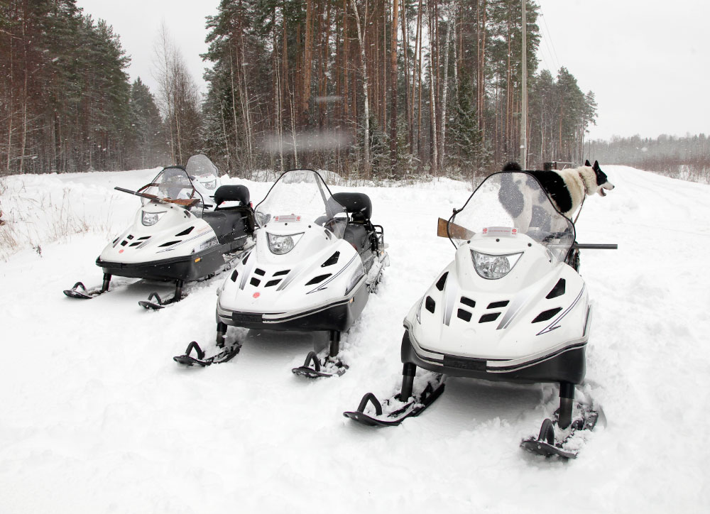 СНЕГОХОД РМ ТАЙГА ВАРЯГ 550 V в Абакане