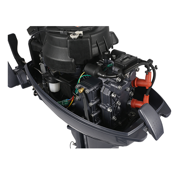 ЛОДОЧНЫЙ МОТОР ALLFA CG Т9,9 Limit в Абакане