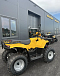 КВАДРОЦИКЛ IRBIS ATV 250  в Абакане