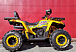 Квадроцикл PROMAX STORM 280 LUX в Абакане