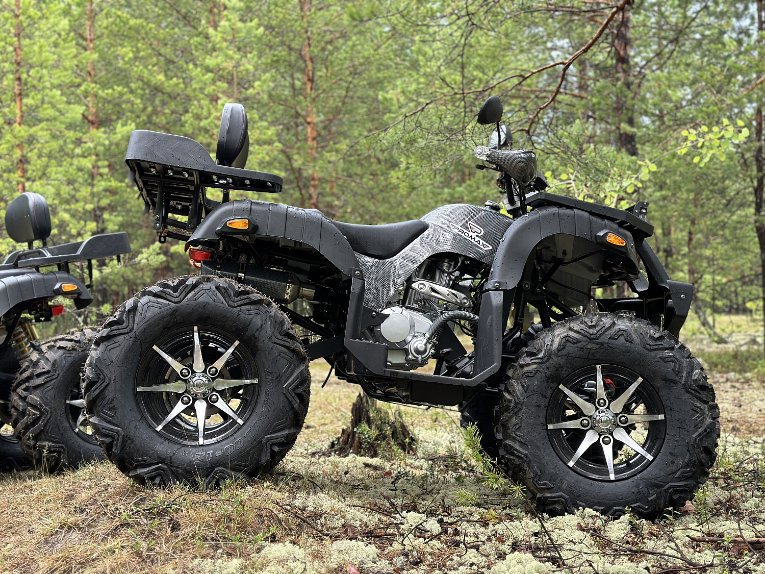 Квадроцикл PROMAX 320 DOMINATOR PRO (2025) в Абакане