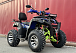  Квадроцикл PROMAX ATV 250 MAX (2025) в Абакане