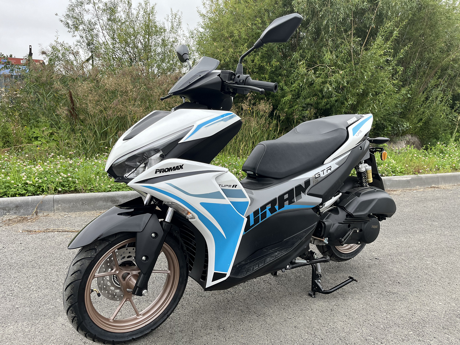 Скутер PROMAX TURAN 250 (49) в Абакане