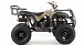 Квадроцикл MOTOLAND (МОТОЛЕНД) 200 ALL ROAD в Абакане
