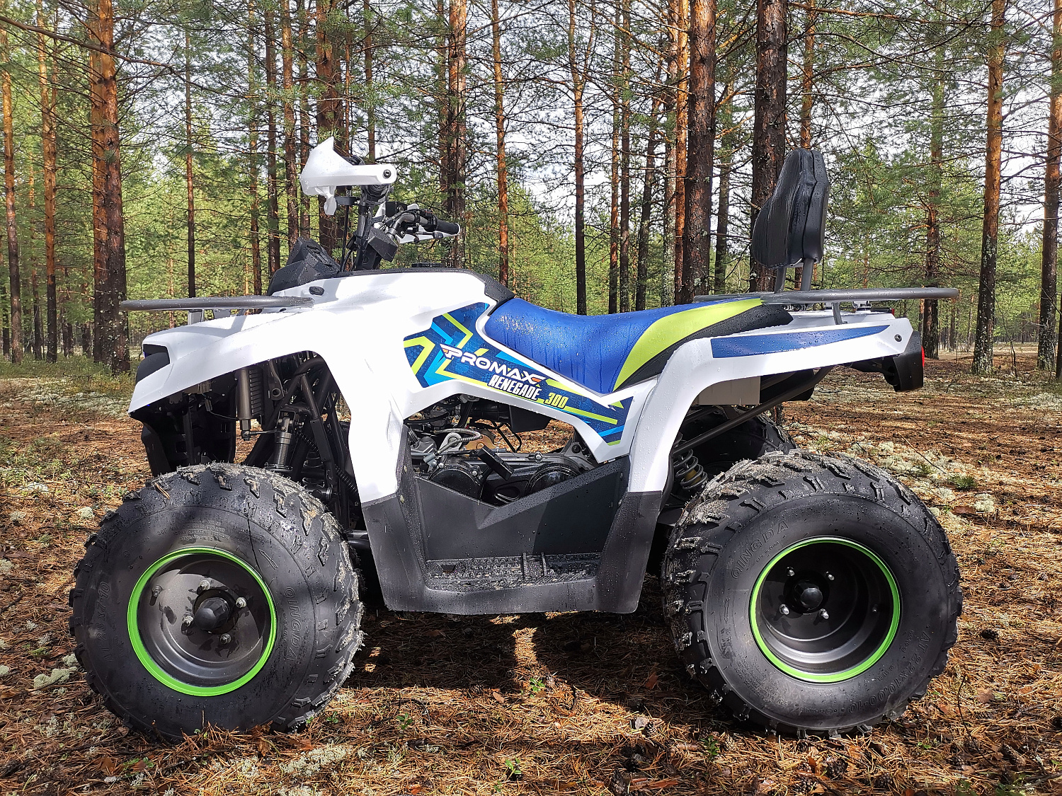 Квадроцикл PROMAX RENEGADE 280 (2025) в Абакане
