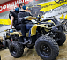 Квадроцикл PROMAX ATV 250 (2025) в Абакане